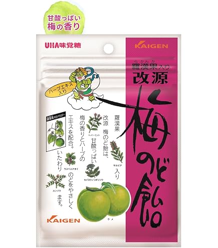 Amazon.co.jp: 【機能性表示食品】森下 仁丹 梅仁丹のど飴 60g×2袋