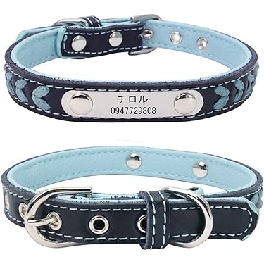 Amazon.co.jp 人気ギフトランキング: 犬用首輪 で、ギフトの設定