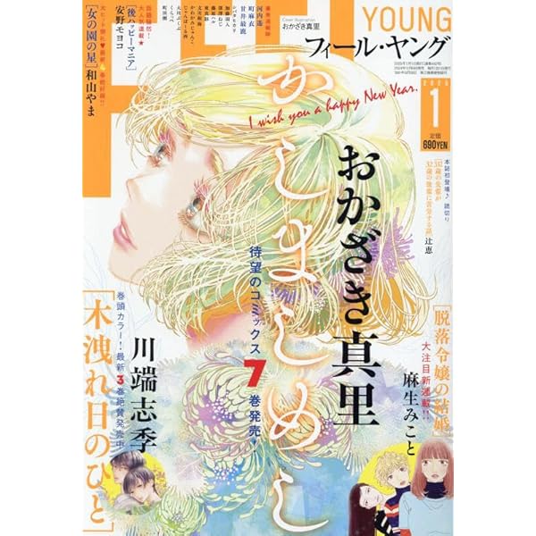 FEEL YOUNG フィールヤング　14冊まとめ売り FEEL YOUNG フィールヤング 14冊まとめ売り - メルカリ