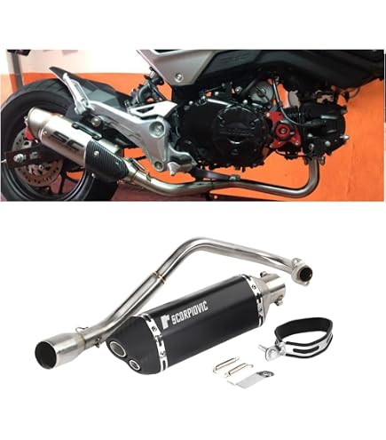 Amazon | エンデュランス (ENDURANCE) [受注生産品] バイク レース