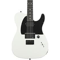 Fender フェンダー Jim root モデル テレキャスター Fender フェンダー Jim Root Telecaster テレキャスターR