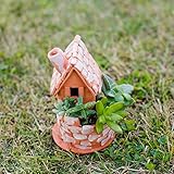多肉植物 寄せ植え テラコッタ ハウス ( A タイプ )
