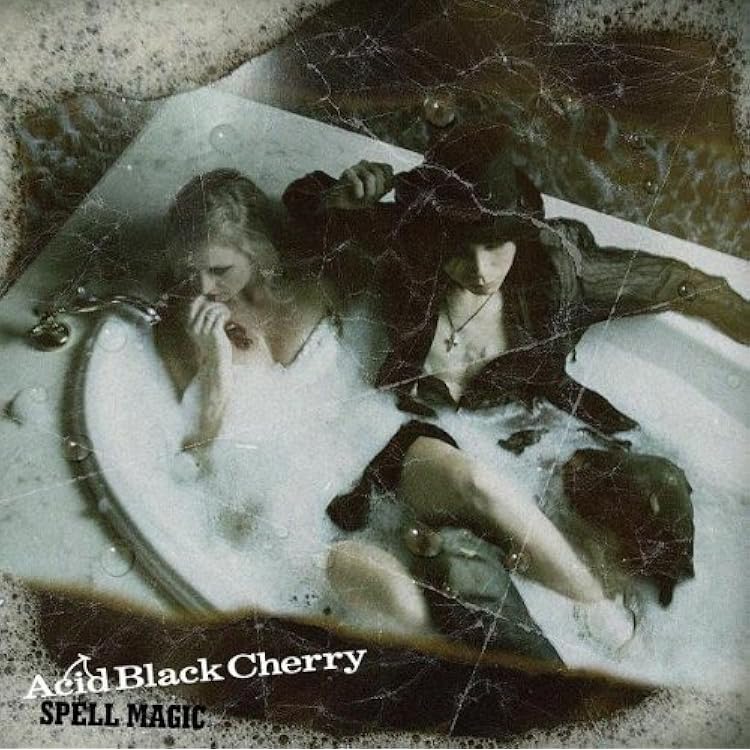 Acid Black Cherry アザージャケット 41STugO3G8L._UF350,350_QL50_.jpg