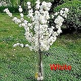 Zehui Peach Blossomのシミュレーション人工花シルクフラワー花輪(ホワイト)