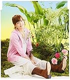 �����Ă��Ȃ��͂��Ȃ�������