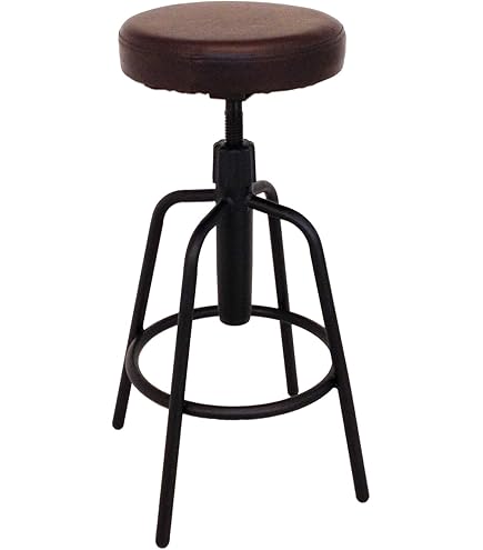 Amazon｜ギブソン Gibson GA-STOOL2 Premium Playing Stool 24 inch  