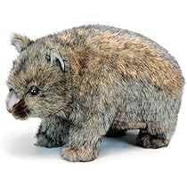 Amazon.co.jp: HANSA ウォンバット 37x17x16cm アクリル No.3248