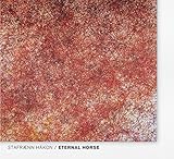 �G�^�[�i���E�z�[�X