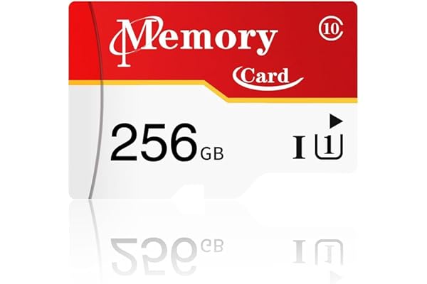 マイクロカード 256GB UHS-I 超高速 マイクロメモリーカード 簡易デザインパッケージ Full HD & 4K UHD