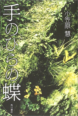 手のひらの蝶