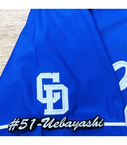 Amazon.co.jp: 中日ドラゴンズ 刺繍ワッペン 上林 誠知 背番号 & 毛筆