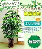 お手軽観葉植物(人工観葉植物)　観音竹