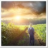 Farmer walking in corn fields at sunset用紙印刷壁アート 20in. x 20in.