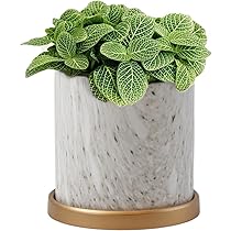陶器鉢 攻めたデザイン 派手な 中古 2つ 植木鉢 陶器鉢 攻めたデザイン 派手な 中古 2つ 植木鉢
