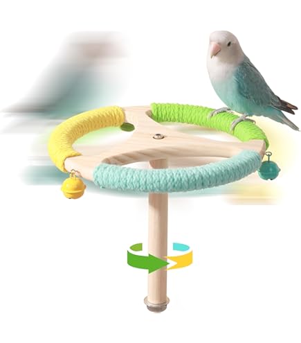 Amazon | Tafit ナチュラルバードスイング - 木形のインコ用とまり木に
