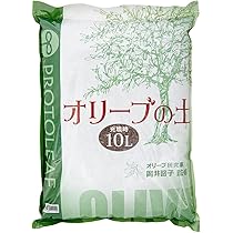 土手をかけおりよう! O'NEIL OF DUBLIN オニールオブダブリン aranciato別注 ウール