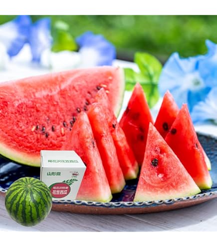 Amazon.co.jp: 無農薬 房州 びわ Lサイズ 1kg 化粧箱入 千葉産 枇杷