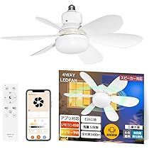 Amazon.co.jp : 【2025新登場・夏季限定爆売れ】シーリング