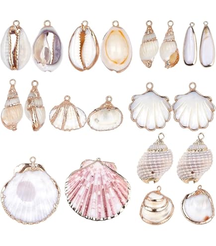 Amazon | SUNNYCLUE 24個6種 夏 貝殻 チャーム シェル チャーム ビーチ