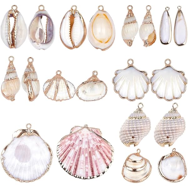 Amazon.co.jp: 【貝殻の問屋さん】真珠貝プレート-シロチョウガイ