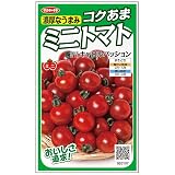 サカタのタネ 実咲野菜 ミニトマト コクあまミニトマト キャロルパッション