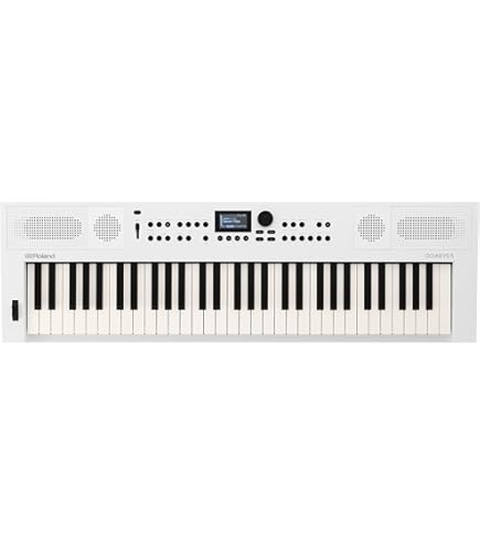 Amazon.co.jp: Roland E-A7 伸縮アレンジャー : 楽器・音響機器