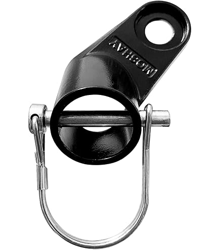 Amazon | InStep インステップ take2 二人乗り バイクトレーラー