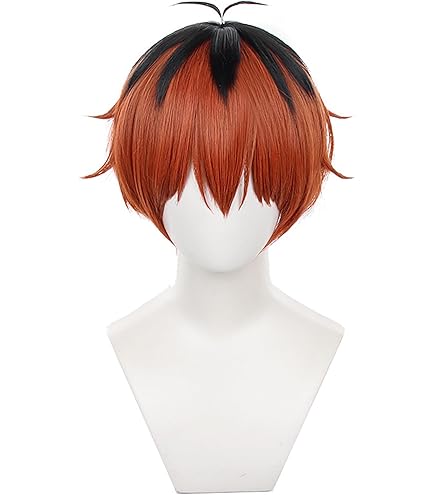 Amazon.co.jp: iirukaa 葬送のフリーレン ヒンメル ウィッグ ウィッグ