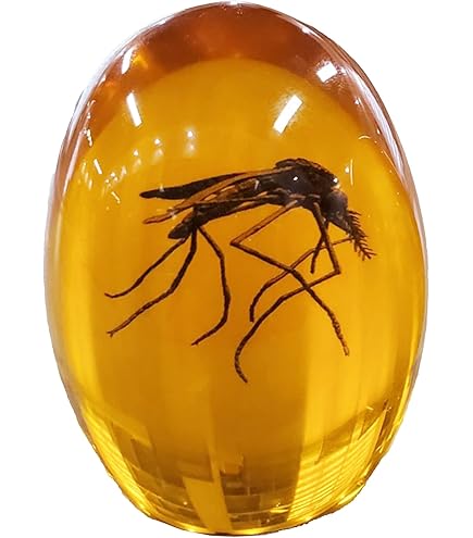 Amazon.co.jp: Prehistoric Planet Store 5.5インチ メガロドン