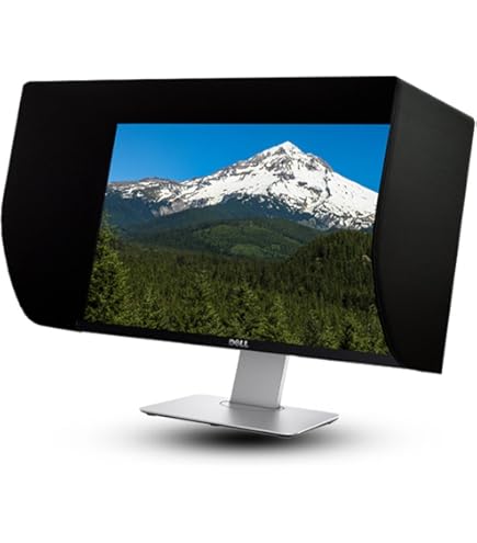 Amazon | EIZO ColorEdge CS2420専用遮光フード CH2400 | EIZO