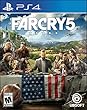 Far Cry 5 (輸入版:北米)-PS4