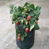 植え袋　プランター フェルト　落葉袋　丸い布鉢 植木鉢　深型　栽培バッグ 植え付け ガーデン栽培　いちご　花などを植え　PE素材製　1個入り