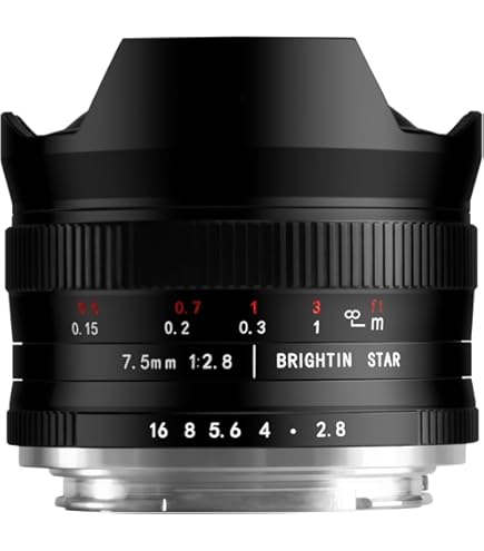 Amazon.co.jp: TTArtisan 11mm F2.8 単焦点レンズ 魚眼レンズ ソニーE
