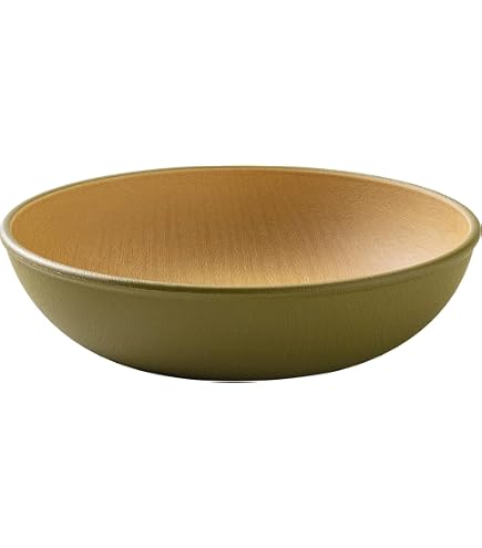 Amazon.co.jp: カノー earth color(アースカラー) 抗菌ボウル レッド