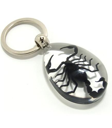Amazon.co.jp: n.ssign カズタ Tiger Keyring セミコンプ