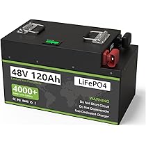 Amazon.co.jp: 48V 120Ah LiFePO4 大容量リン酸鉄リチウムイオン 電池 