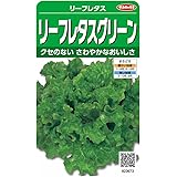 サカタのタネ 実咲野菜3673 リーフレタスグリーン リーフレタス 00923673