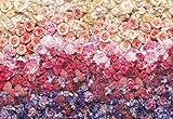 Komar 8-965 Modern Intense Wall Mural, Pink by Komar