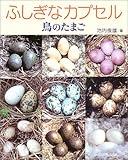 ふしぎなカプセル―鳥のたまご (地球ふしぎはっけんシリーズ)