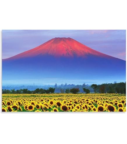 Amazon.co.jp: kj額装品 花井祐介 茅ヶ崎 イラスト A4サイズ額入り