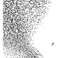 ■稀少高音質アナログ盤■WILCO / ウィルコ■Cousin■1LP / 20 □稀少高音質アナログ盤□WILCO / ウィルコ□Cousin□1LP / 20