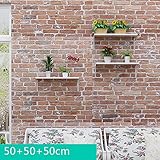 ALUP- ウォールシェルフ、クリエイティブウォールシェルフシェルフ、シンプルウォールハンガー、モノラルパーティションフラワーラック、木製フレーム、背景壁フレーム ( サイズ さいず : 50+50+