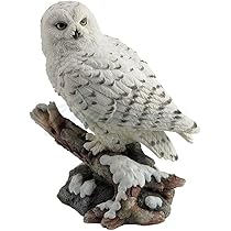 614OCEY4qTL._AC_UL210_SR210,