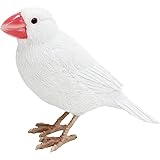マグネット BIRDIE BILL(バーディビル) WHITE JAVA SPARROW 1686 ホワイト