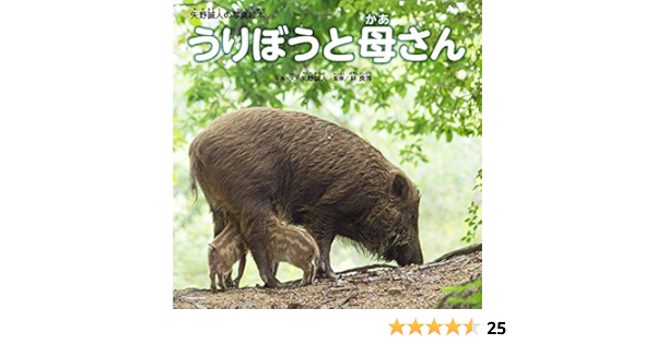 うりぼうと母さん 矢野誠人の写真絵本 矢野 誠人 林 良博 矢野 誠人 本 通販 Amazon うりぼうと母さん 矢野誠人の写真絵本 矢野 誠人 林 良博 矢野 誠人 本 通販 Amazon