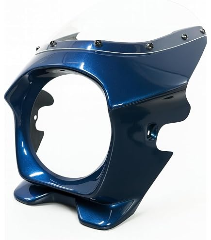 Amazon | Z650RS 専用設計 日本製 ビキニカウル 国産 YRworks 純正色