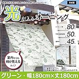 光が入るオーニング 室内から柄が見えるタイプ グリーン(Gr) 180cm×180cm丈 OTP-1818