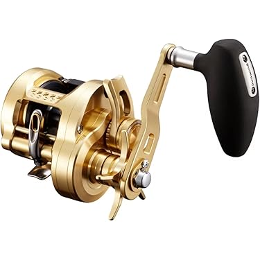 ゴールデンベイトリール豪華セット金コイケ ゴールデンベイトリール豪華セット金コイケ