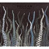 City Of Echoes by Pelican