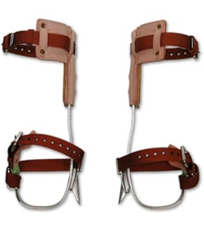 Amazon.co.jp: Notch ポータラップ Large リギング アーボリスト